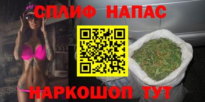 СК Заводоуковск